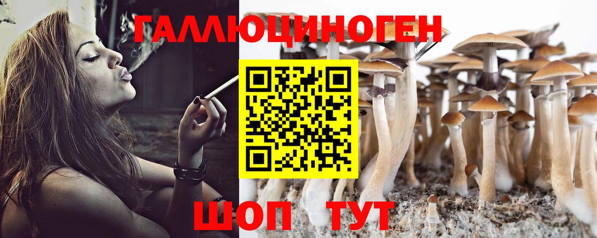 Псилоцибиновые грибы Psilocybine cubensis  Вход с VPN  магазин продажи наркотиков  Галлюциногенные грибы GOLDEN TEACHER  Мурино 