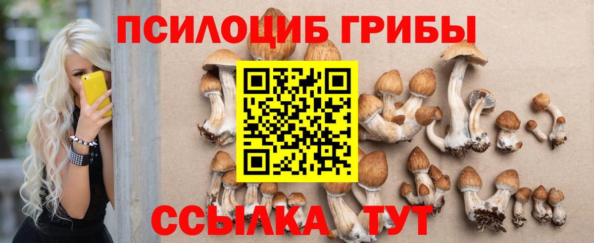 Псилоцибиновые грибы ЛСД Мурино