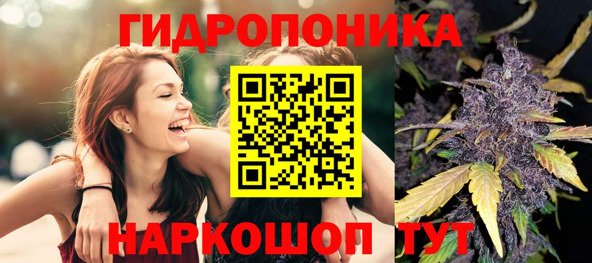 Шишки марихуана ГИДРОПОН  Бошки Шишки Bruce Banner  Вход с VPN  Мурино  Канабис семена  МАРИХУАНА план 